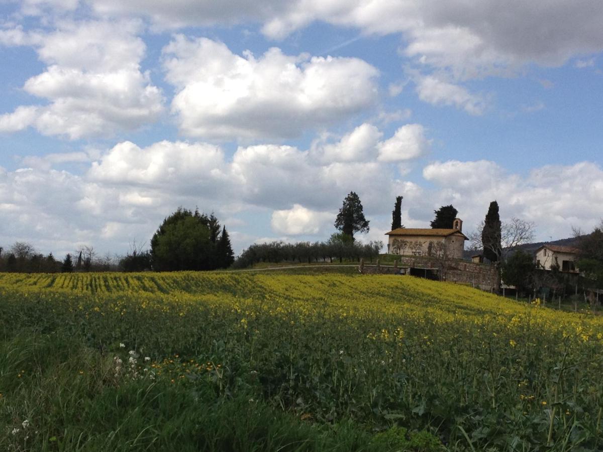 Gli Ulivi D'Argento Villa Assisi Eksteriør bilde